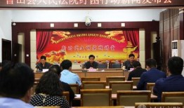 鲁山县最新爆料新闻报道,揭秘事件背后真相