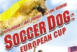 足坛神犬在线观看,足球场上的忠诚伙伴